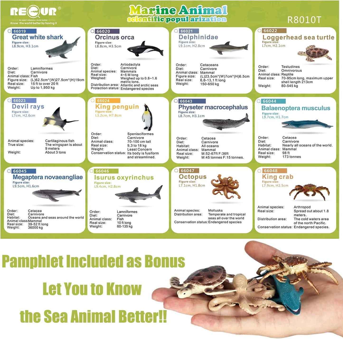 Sea Animal Toys for Kids 12Pcs Ocean Animal Figures Mini Animal Toys Figures under the Sea Party Favor for Boy Including Shark Octopus Crab Plastic Animal Figurines Bath Toys
