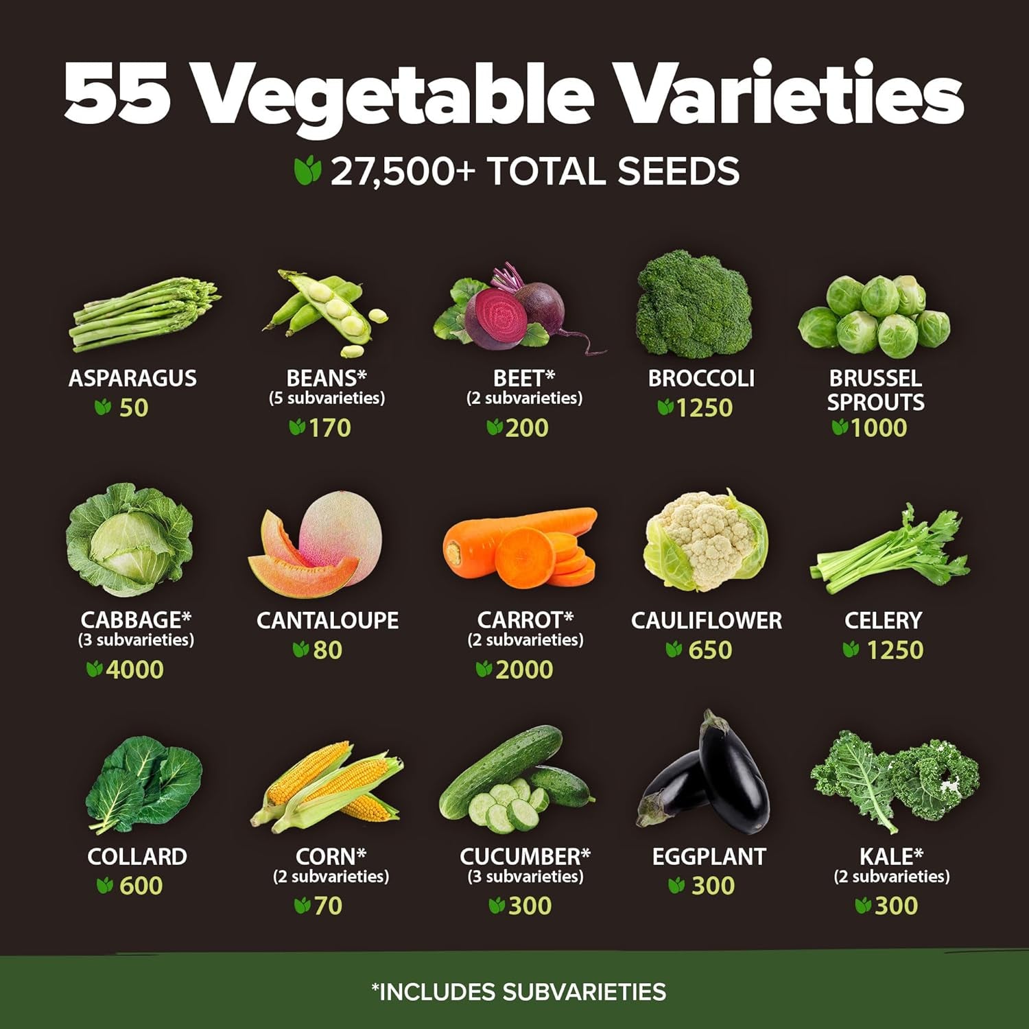 55 Vegetable Seeds Pack – 28,000+ 𝗨𝗦𝗔 Heirloom 𝗡𝗢𝗡-𝗚𝗠𝗢 Seeds for Planting – Spring, Fall, Winter Garden Kit – Survival Seed Vault for Preppers & Gardeners – Gift for Men & Women